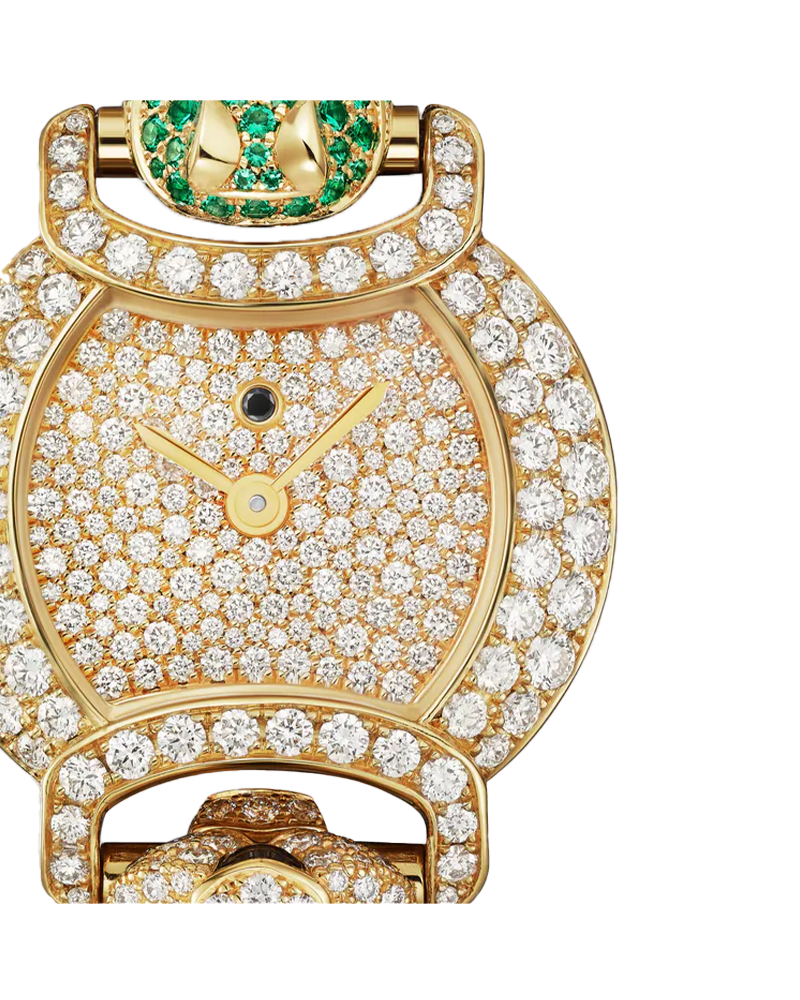 Indomptables de Cartier Watch