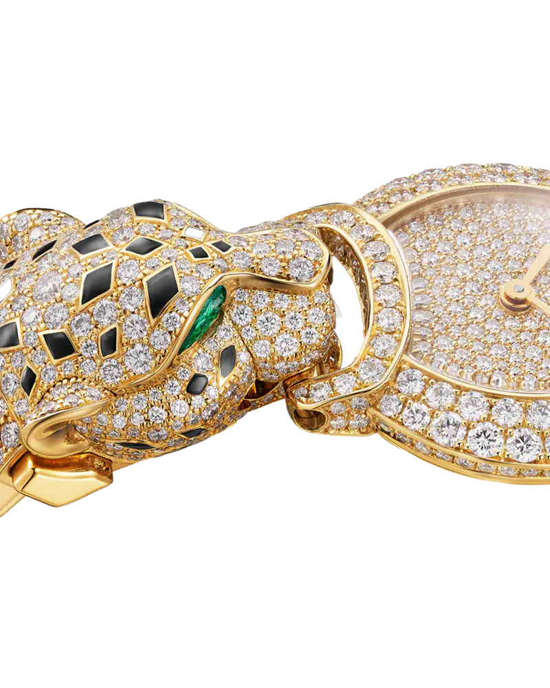 Indomptables de Cartier Watch