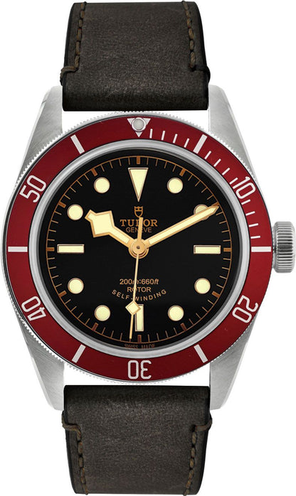 Tudor Black Bay