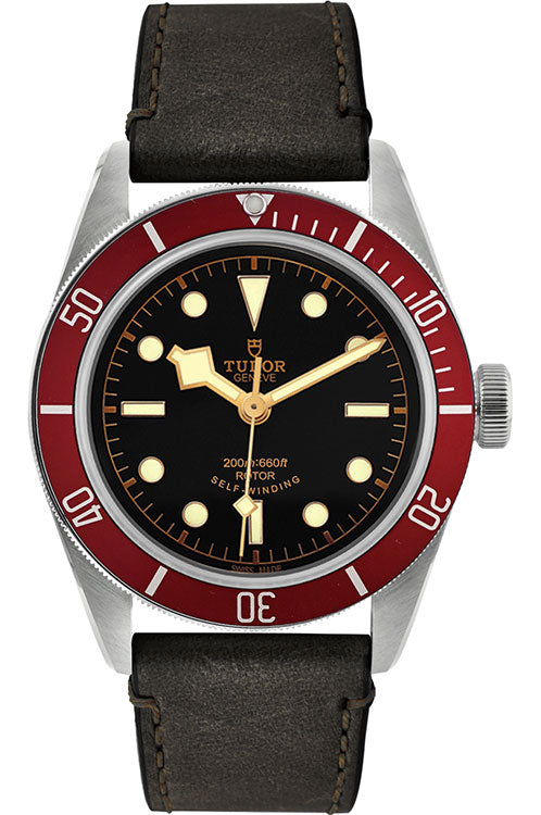 Tudor Black Bay